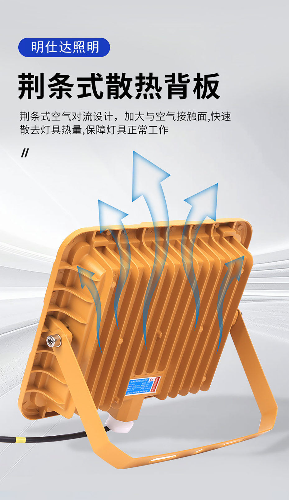 LED防爆泛光灯BAD8552款