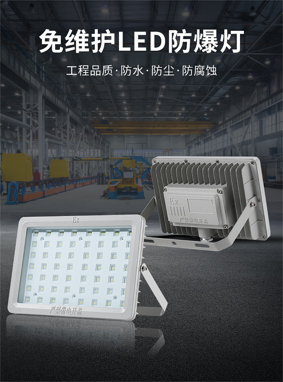LED防爆投光灯泛光灯