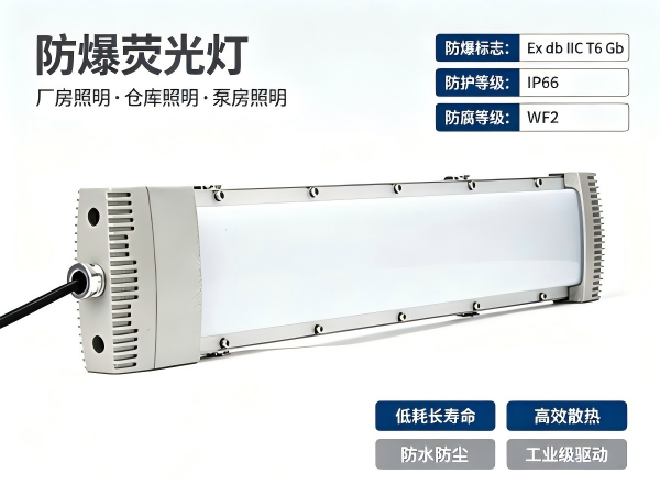防爆荧光灯