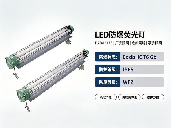 LED防爆荧光灯BAD85173