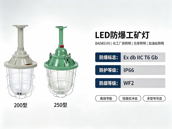 LED防爆工矿灯BAD85193